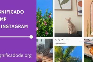 Significado de Dump en Instagram