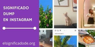 Significado de Dump en Instagram