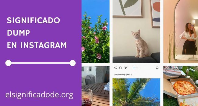 Que significa dump en Instagram