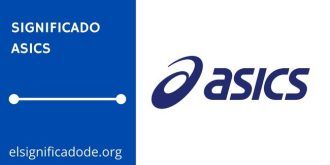 Significado de Asics