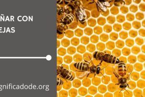 Significado de Soñar con Abejas