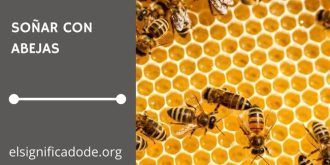 Significado de Soñar con Abejas