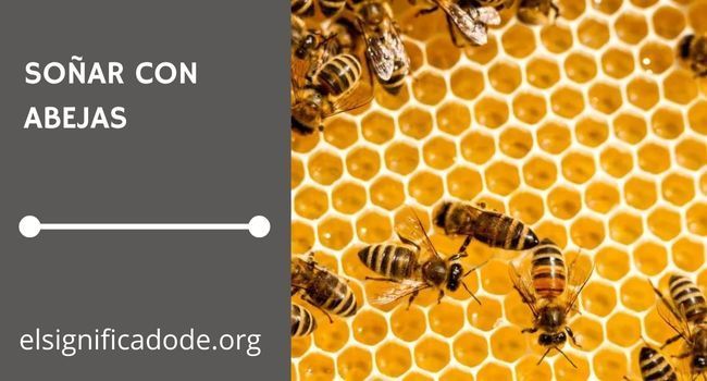 Qué significa soñar con abejas