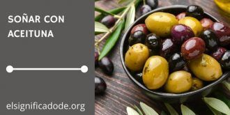Significado de Soñar con Aceituna