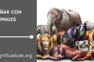 Significado de Soñar con Animales