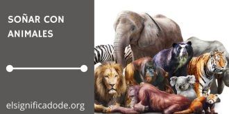 Significado de Soñar con Animales
