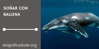Significado de Soñar con Ballenas