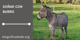Significado de Soñar con un Burro