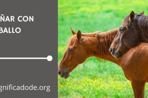 Significado de Soñar con Caballo