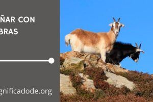 Significado de Soñar con Cabras