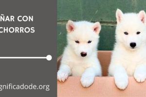 Significado de Soñar con Cachorros