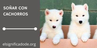 Significado de Soñar con Cachorros