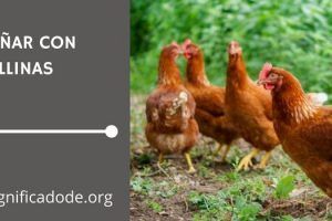 Signficado de Soñar con Gallinas