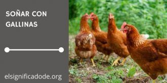 Signficado de Soñar con Gallinas