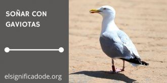 Significado de Soñar con una Gaviota