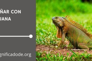 Significado de Soñar con Iguana