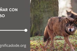 Significado de Soñar con Lobo