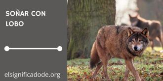 Significado de Soñar con Lobo