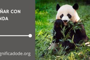 Significados de Soñar con un Panda