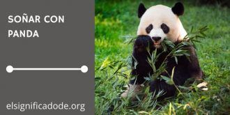 Significados de Soñar con un Panda