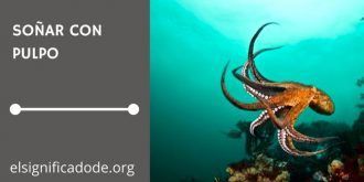 Significado de Soñar con Pulpo