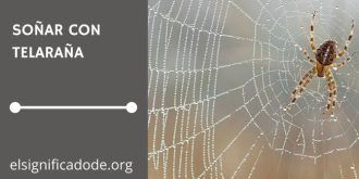 Significado de Soñar con Telaraña