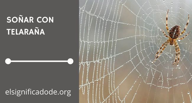 Qué significa soñar con telaraña