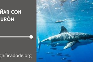 Significado de Soñar con Tiburones