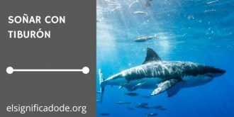 Significado de Soñar con Tiburones