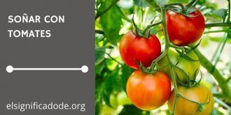 Significado de Soñar con Tomates