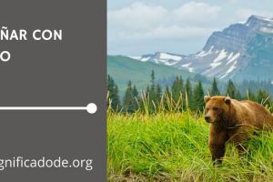 Significado de Soñar con un Oso