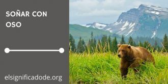 Significado de Soñar con un Oso