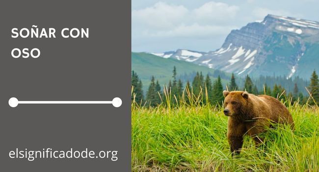Qué significa soñar con un oso