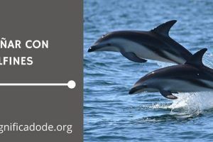 Significado de Soñar con Delfines