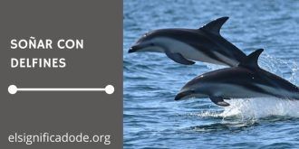 Significado de Soñar con Delfines