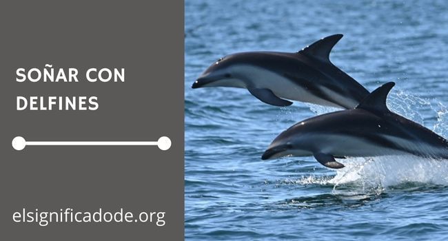 Que significa soñar con delfines