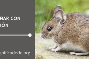 Significado de Soñar con un Ratón