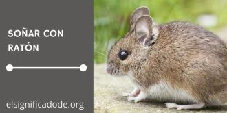 Significado de Soñar con un Ratón
