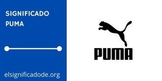 Significado de Puma