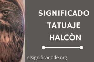 Significado Tatuaje Halcón