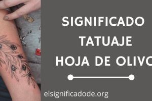 Significado Tatuaje Hoja de Olivo
