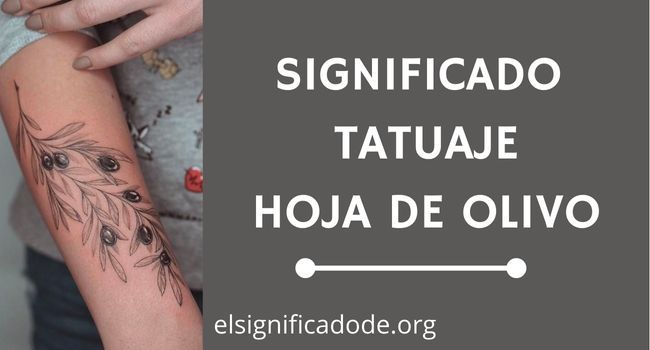 Qué significa un tatuaje de Hoja de Olivo