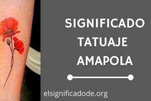 Significado Tatuaje  Amapola