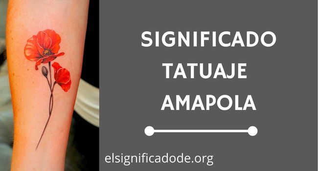 Significado Tatuaje Amapola