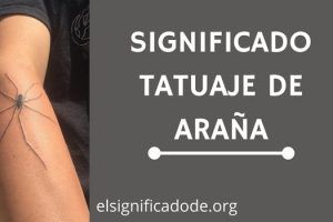 Significado de un Tatuaje de Araña