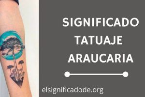 Significado Tatuaje Araucaria