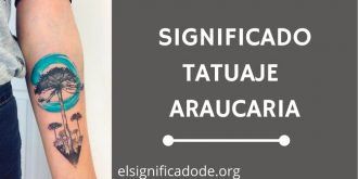 Significado Tatuaje Araucaria