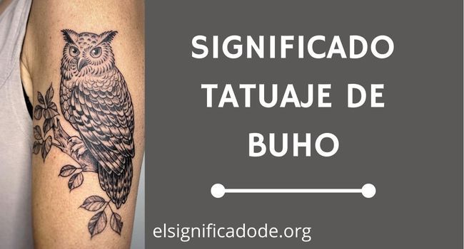 Significado Tatuaje Buho