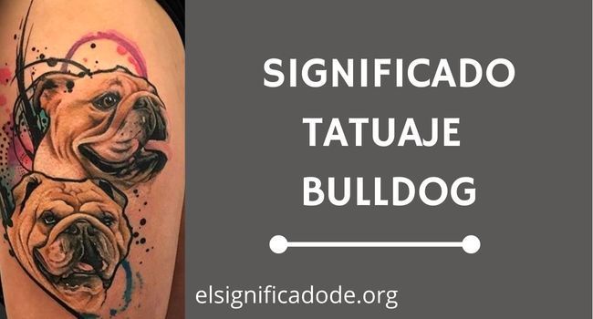 Qué significa tatuaje bulldog