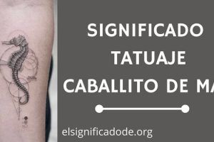 Significado Tatuaje Caballito de Mar